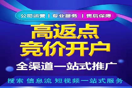 SEM公司成功案例分享：搜索引擎优化的力量